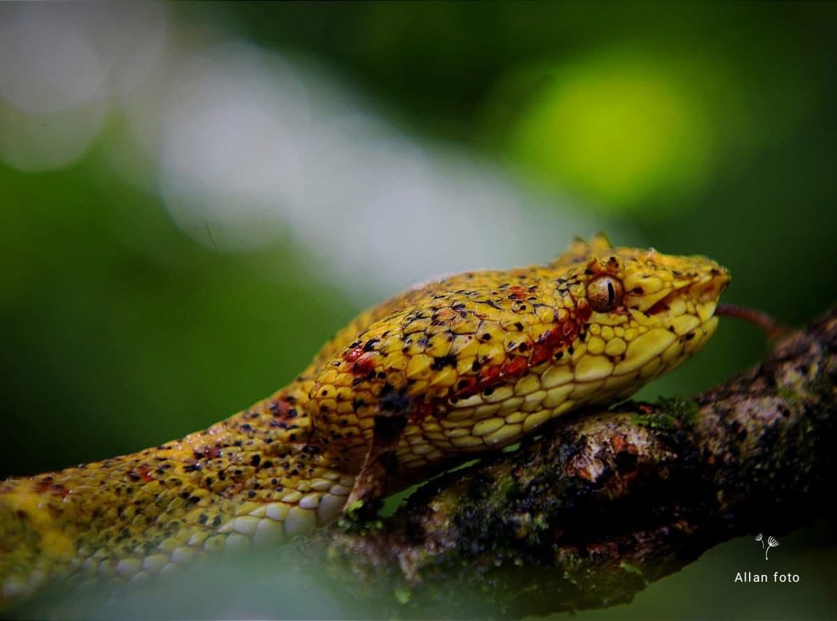 Visit a Costa Rican Family